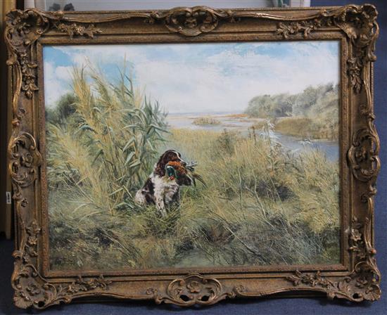 Henry Wilkinson (b.1921) Springer retrieving, 20 x 26in.